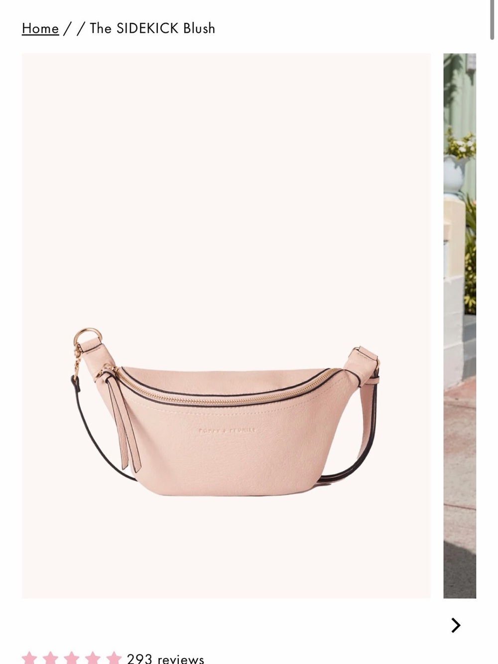 The SIDEKICK Blush Leather Crossbody Belt Bag